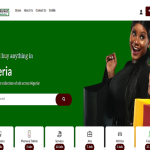 naija market web design ub